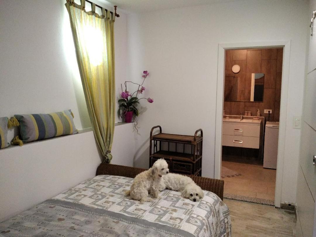 Apartment Trieste M&M Múggia المظهر الخارجي الصورة