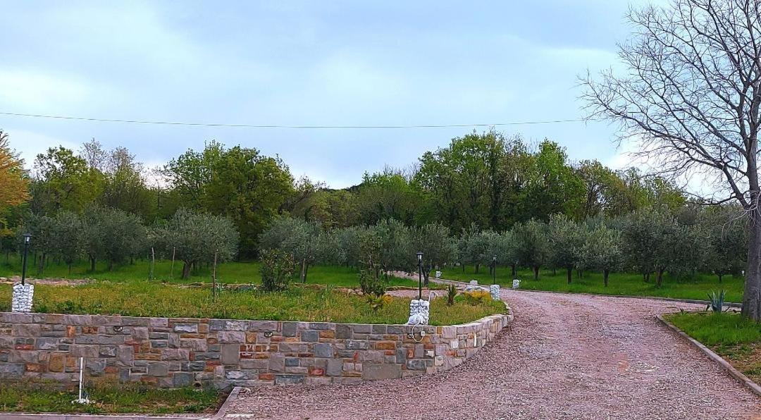 Apartment Trieste M&M Múggia المظهر الخارجي الصورة